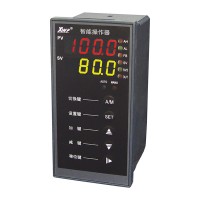 溫州新樂(lè)儀器儀表_XWP-NS835系列