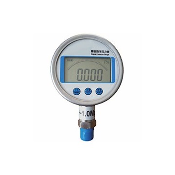 精密數字壓力表