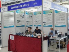 直擊現場丨麥森自動化攜熱電偶、熱電阻、鎧裝加熱器系列彩亮相淄博石油化工展