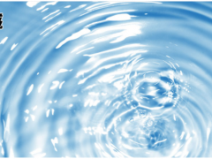 上海儀電科學(xué)儀器ZDY-504型水分測(cè)定儀