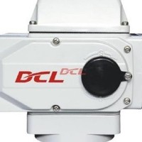 DCL-10E DCL-20E智能型電動(dòng)閥門(mén)