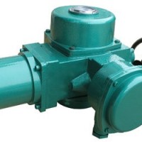 閥門執行機構F-DQW300-1