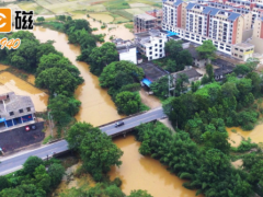 技術(shù)科技 智能檢測(cè) 上海儀電飲用水水質(zhì)檢測(cè)及消毒劑檢測(cè)解決方案