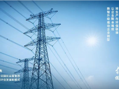 實現碳達峰 邁向碳中和 大華股份助力實現“雙碳”目標綠色發(fā)展