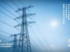 錨定“雙碳”目標，大華股份蹄疾步穩踐行綠色發展