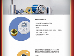 上海德薩堡傳感器有限公司總經(jīng)理 王欣2022新春寄語