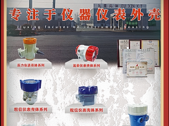 天長市九星儀表有限公司總經(jīng)理 王書彬  ?2022新年寄語