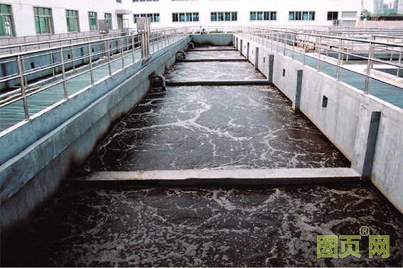 1642057759309178.jpg 3.jpg