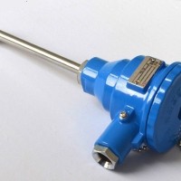 北京中瑞能_ZRN-WZP-F防爆型溫度傳感器_傳感器