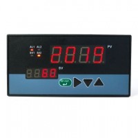 浙江頂威_  雙屏單回路測控儀D803-02-23-HL-P