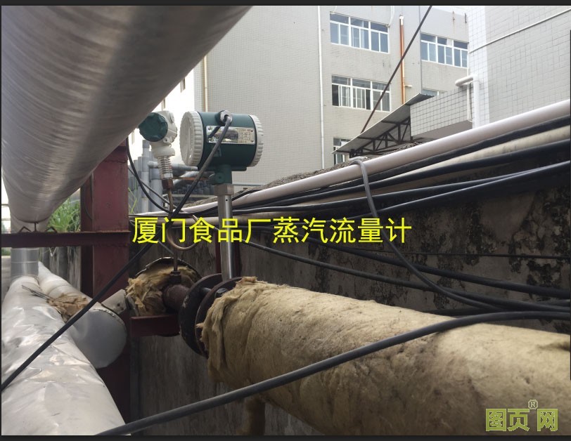 食品廠蒸汽流量計 食品廠蒸汽流量計