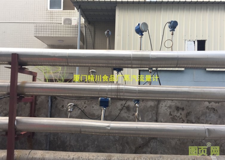 福建食品蒸汽流量計 福建食品蒸汽流量計