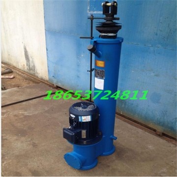 DYTZ直式電液推桿 DTZ300電動(dòng)推桿 