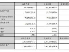三川智慧上半年凈利潤7841.05萬，同比下降6.34%