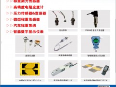 稱重測力傳感器上市廠家華蘭海電測入刊《儀表與測量控制》雜志