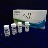 YS-CB-001康諾OPA衍生試劑包