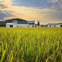 2023中國鄭州國際有機食品產業展覽會