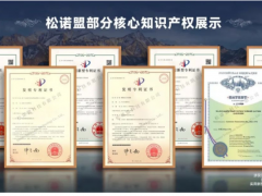 松諾盟順利通過(guò)國(guó)家知識(shí)產(chǎn)權(quán)管理體系貫標(biāo)認(rèn)證!