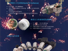 百夫長(zhǎng)傳感技術(shù)(深圳)有限公司 總經(jīng)理 趙勇 2023年新春寄語(yǔ)