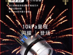 山東佰測傳感科技股份有限公司  副總經理 侯欣  2023年新春寄語