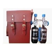 AP5型甲烷傳感器校驗(yàn)儀