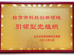 中共四川惠科達(dá)儀表制造有限公司支部委員會榮獲“自貢市科技創(chuàng)新領(lǐng)域引領(lǐng)型黨組織”