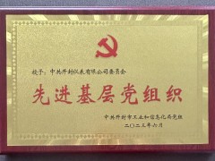 開封儀表公司黨委被評為市工信系統(tǒng)先進基層黨組織