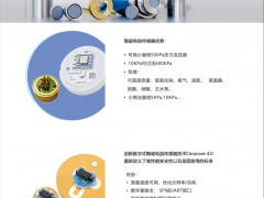 德薩堡公司 作為德國E+H傳感器的唯一授權經銷商的產品優勢及合作優惠