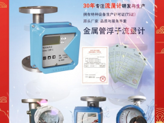 承德市本特思達(dá)儀表有限公司 總經(jīng)理 李冬梅 2024年新春寄語