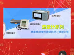 武漢松野智能儀表有限公司 總經理 陳龍軍  2024年新春寄語