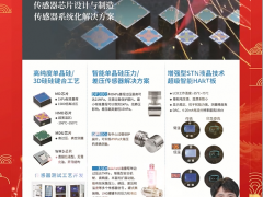 江蘇德新科智能傳感器研究院有限公司 總經理  陳立新 2024年新春寄語