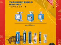 寧波市科奧流量儀表有限公司 總經理 陳新亮 2024年新春寄語