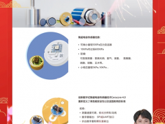 上海德薩堡傳感器有限公司 總經理 王欣  2024年新春寄語