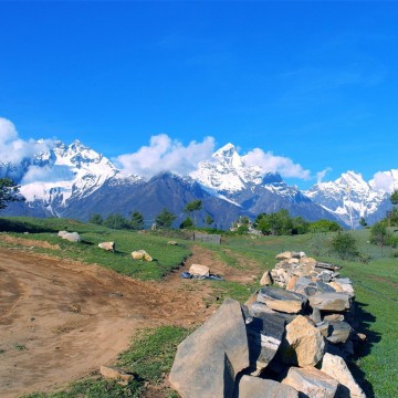 2025安國藥材展|2025安國藥交會(huì)