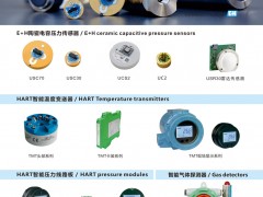 上海德薩堡傳感器入刊上海世環(huán)會特刊《儀表與測量控制》系列客戶報道21