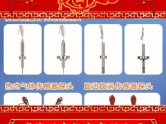 威海興東儀表有限公司 總經理 張雪萌 2025年新春寄語