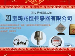 寶雞兆恒傳感器有限公司 總經理 祁新明 2025年新春寄語