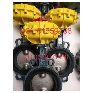 原裝正品 德國依博羅EBRO氣動扇形蝶